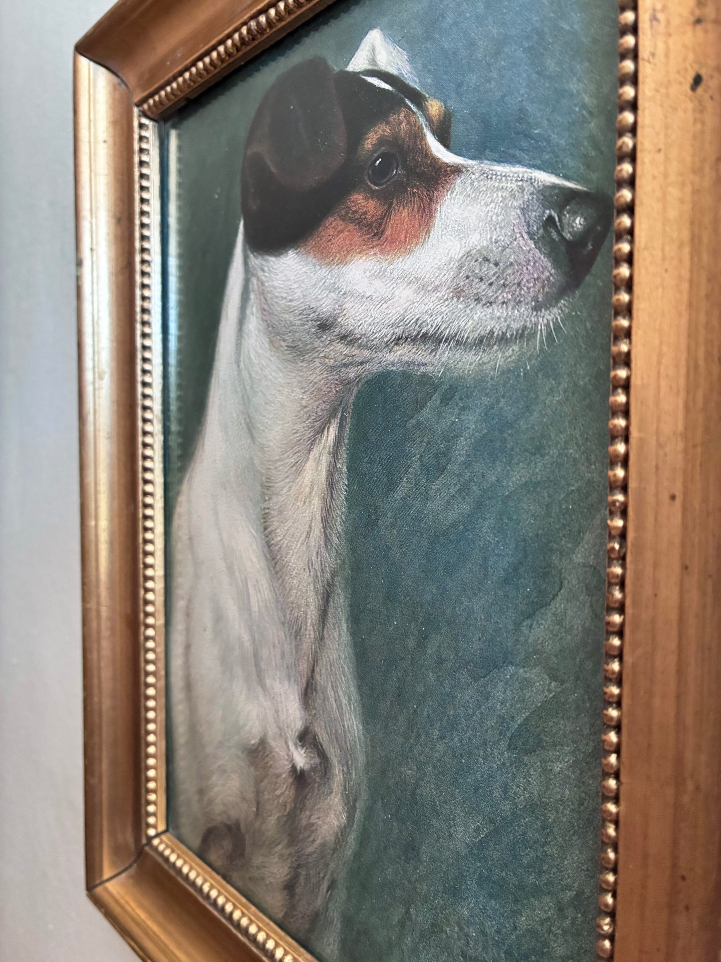 Antique Original Dog Lithographic, Framed Dog Portrait