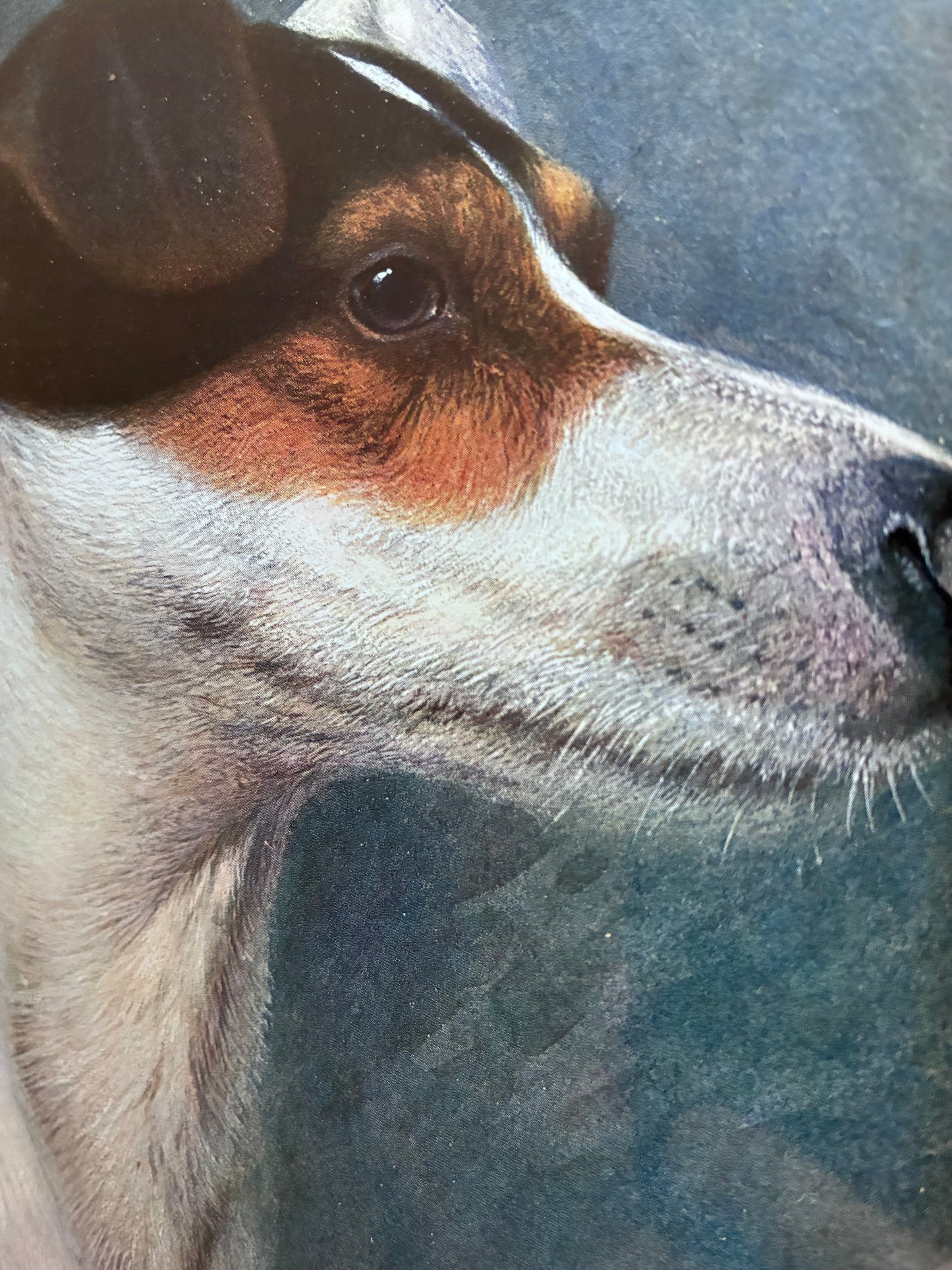 Antique Original Dog Lithographic, Framed Dog Portrait