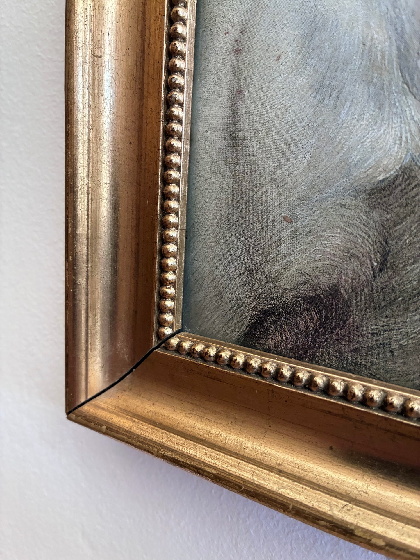 Antique Original Dog Lithographic, Framed Dog Portrait