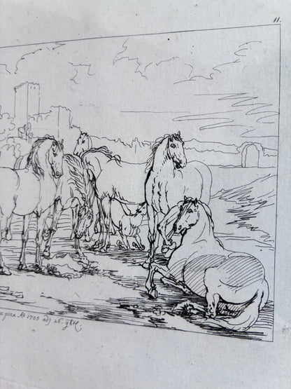 Antique Original Horse Etching, circa 1700: Framed Equestrian Print