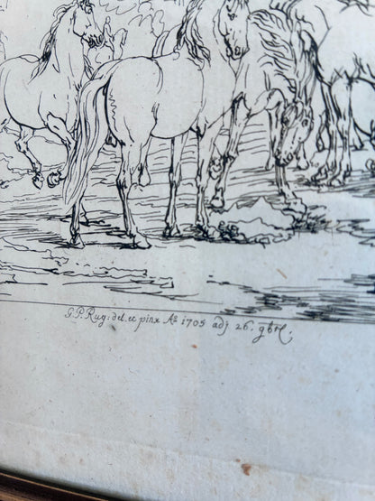 Antique Original Horse Etching, circa 1700: Framed Equestrian Print
