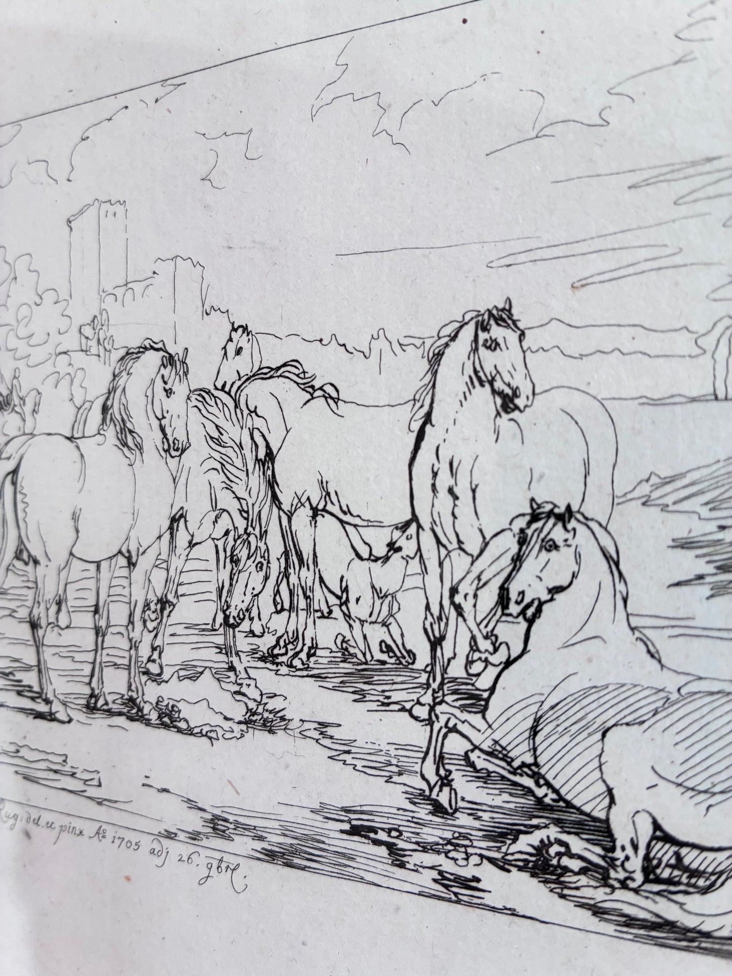 Antique Original Horse Etching, circa 1700: Framed Equestrian Print