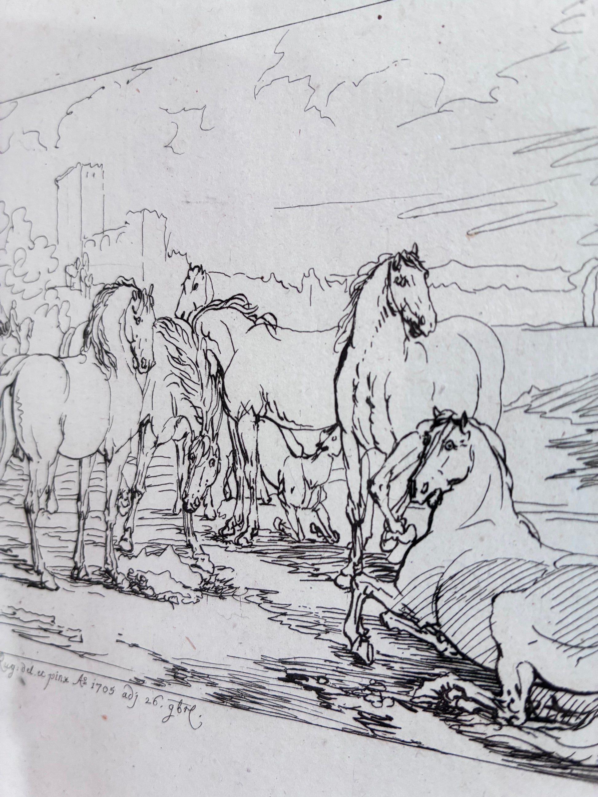 Antique Original Horse Etching, circa 1700: Framed Equestrian Print