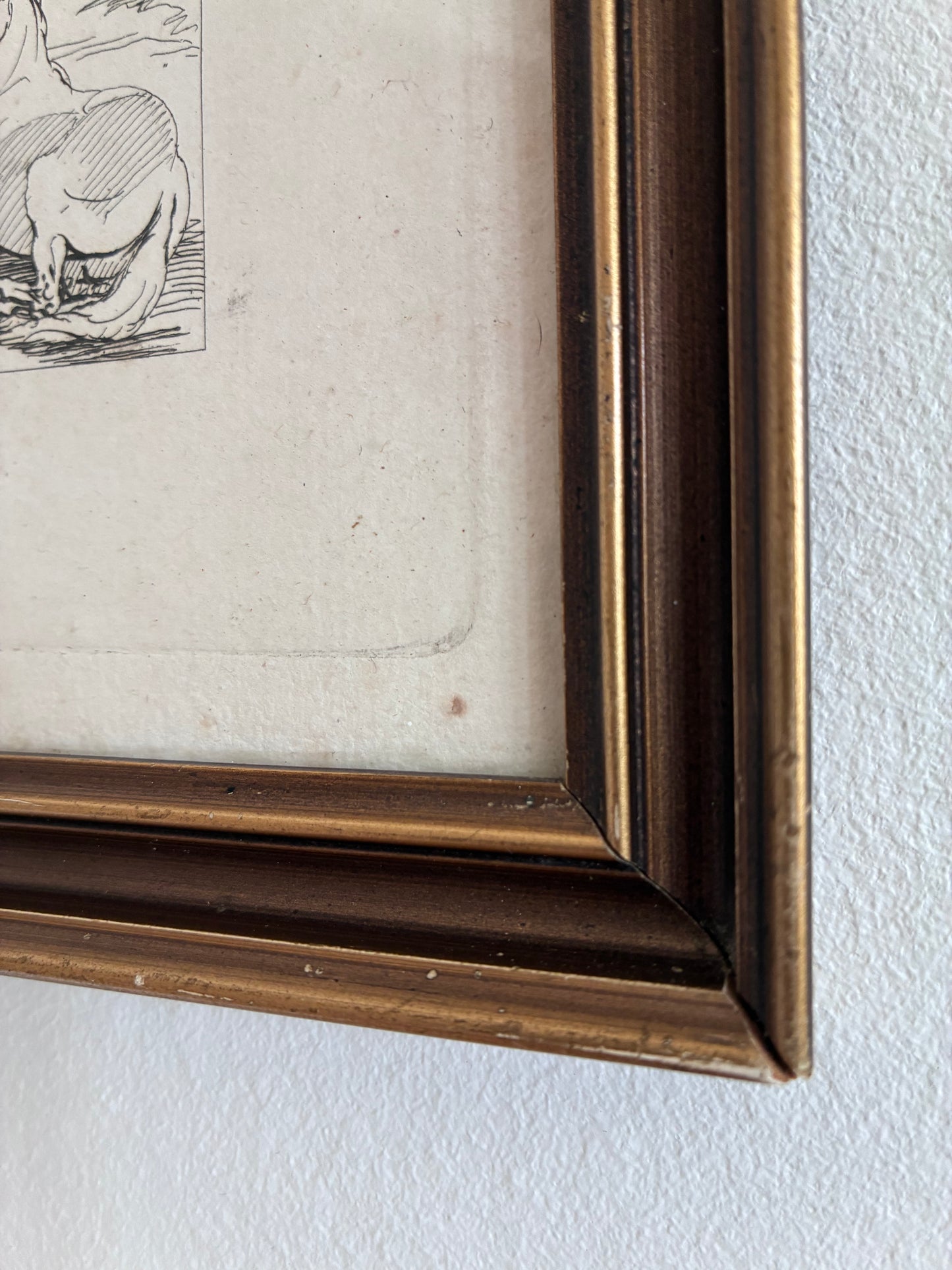 Antique Original Horse Etching, circa 1700: Framed Equestrian Print