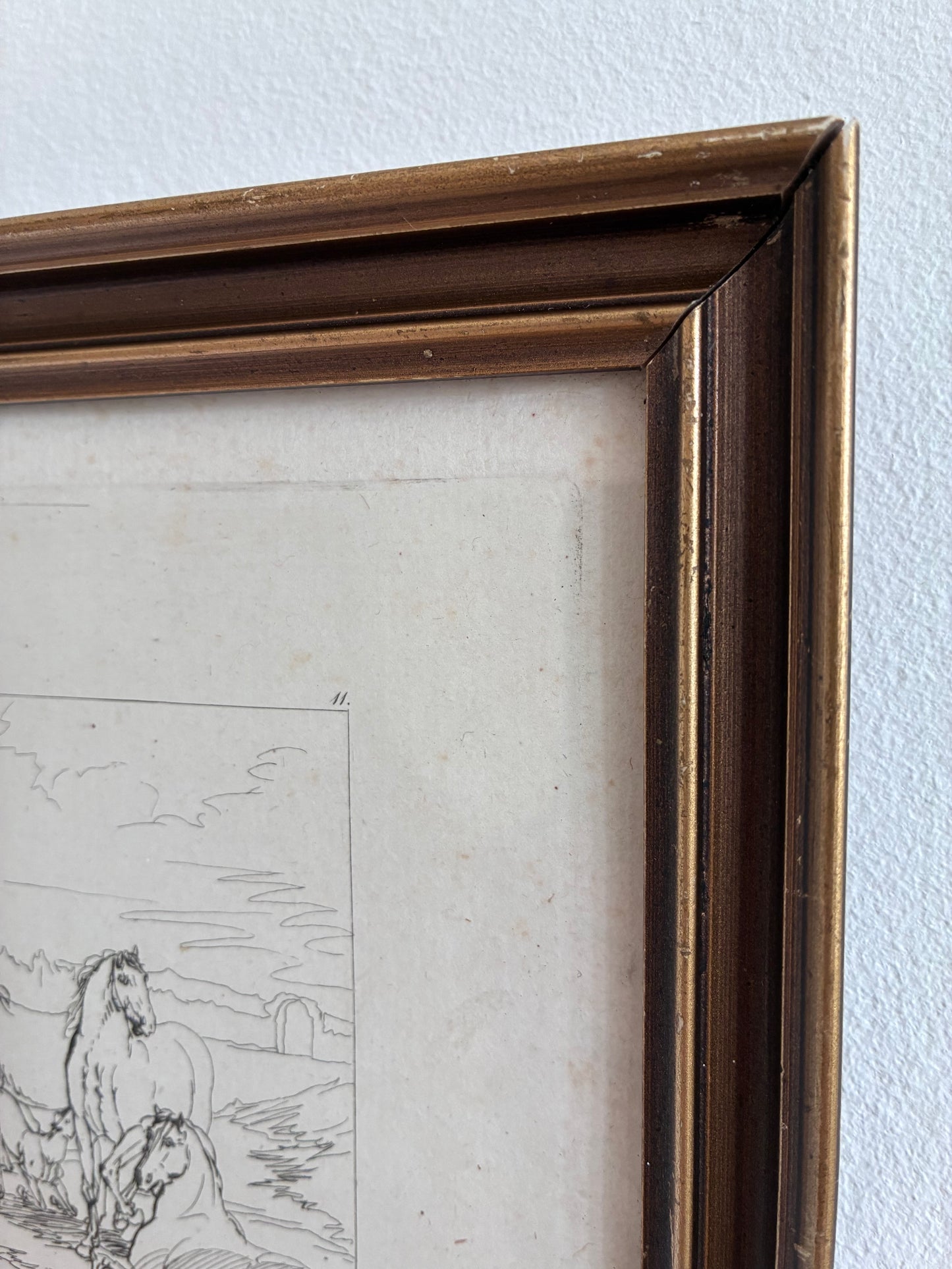 Antique Original Horse Etching, circa 1700: Framed Equestrian Print