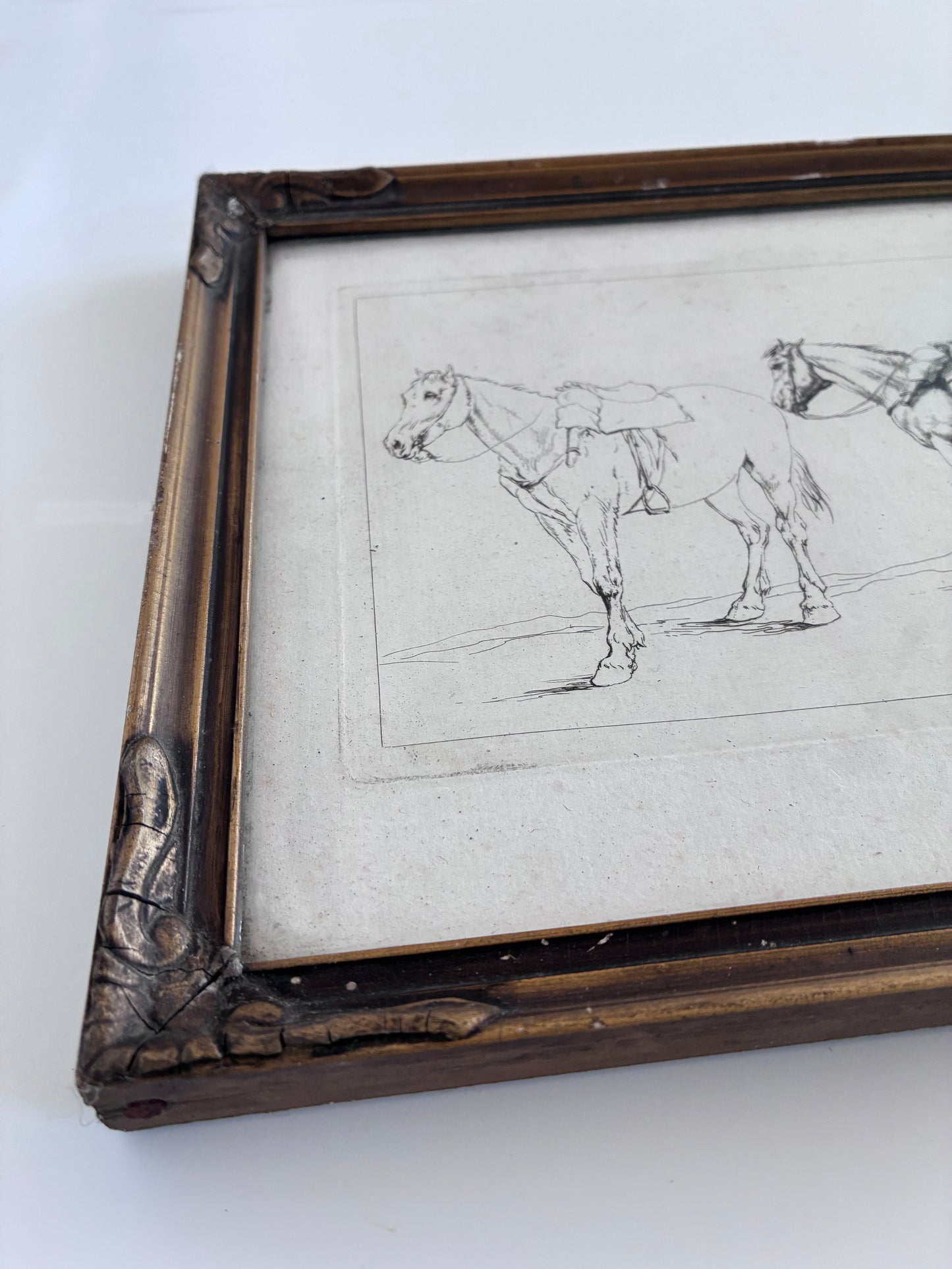 Pair of Antique Orginal Horse Equestrian Etchings in Gilded Frames, circa 1700