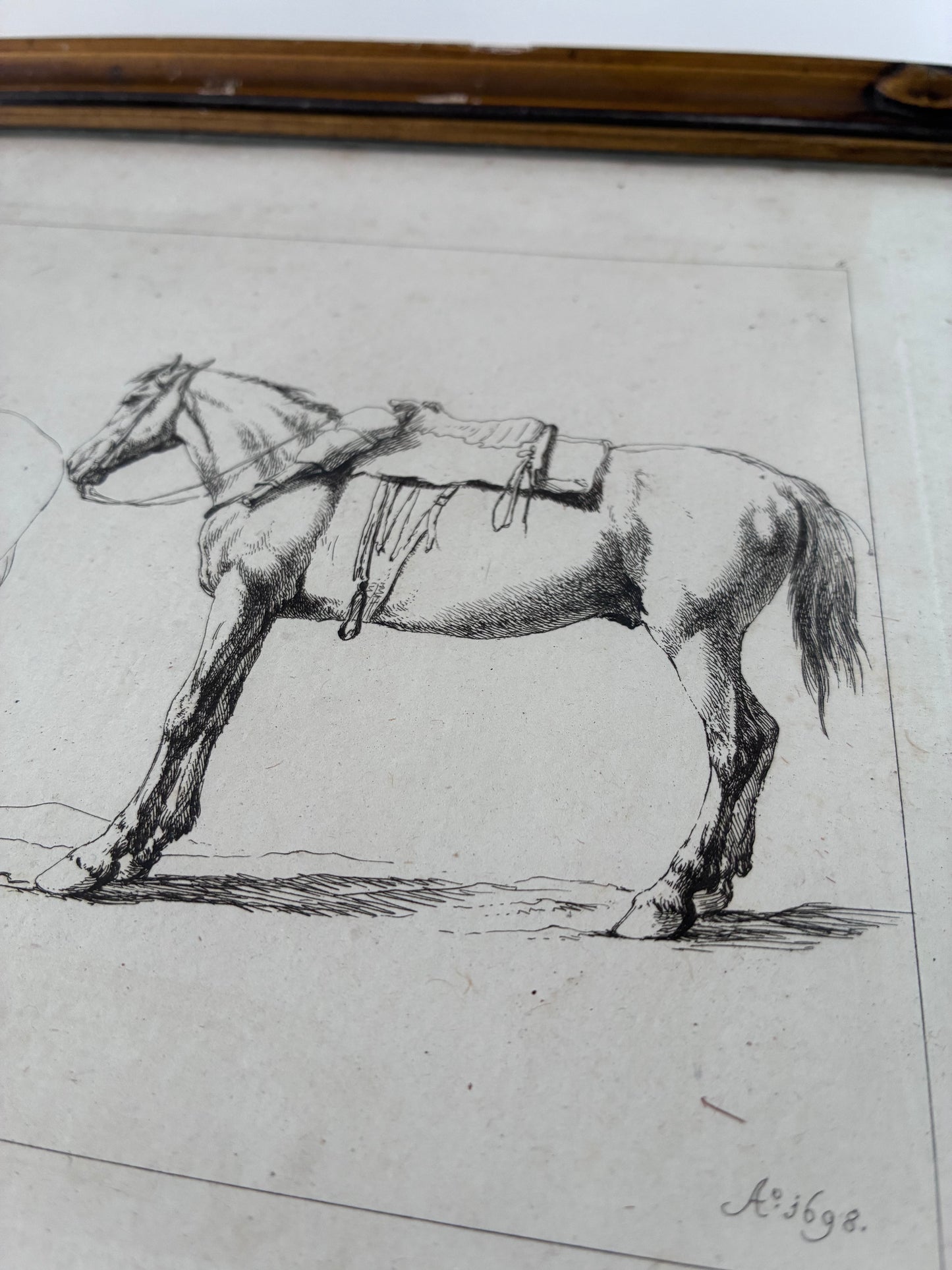 Pair of Antique Orginal Horse Equestrian Etchings in Gilded Frames, circa 1700