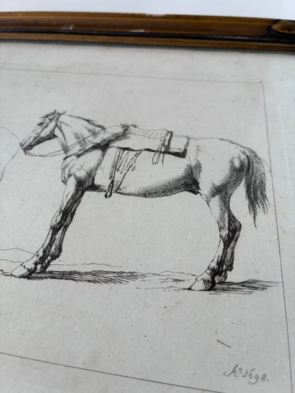 Pair of Antique Orginal Horse Equestrian Etchings in Gilded Frames, circa 1700