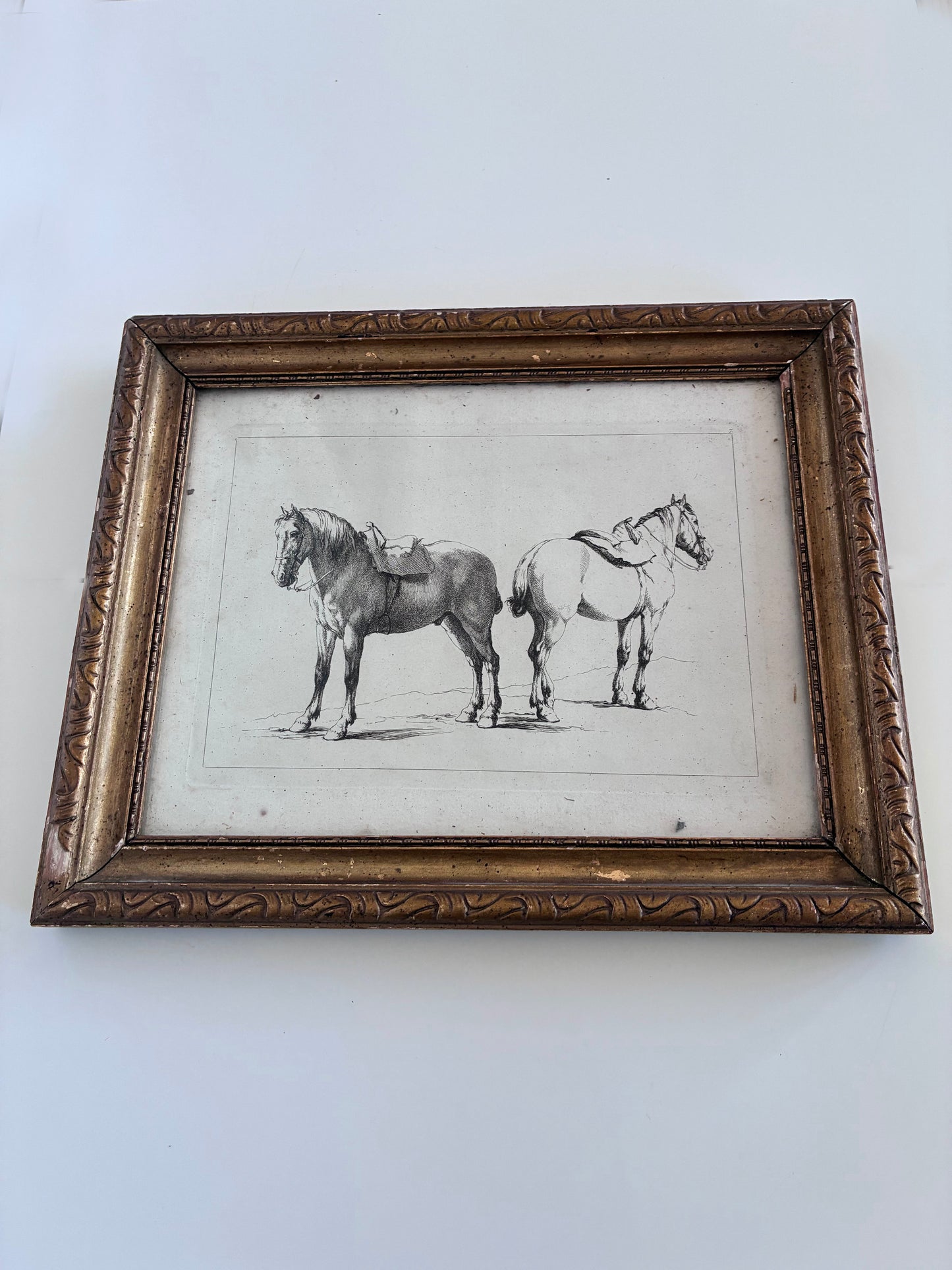 Pair of Antique Orginal Horse Equestrian Etchings in Gilded Frames, circa 1700