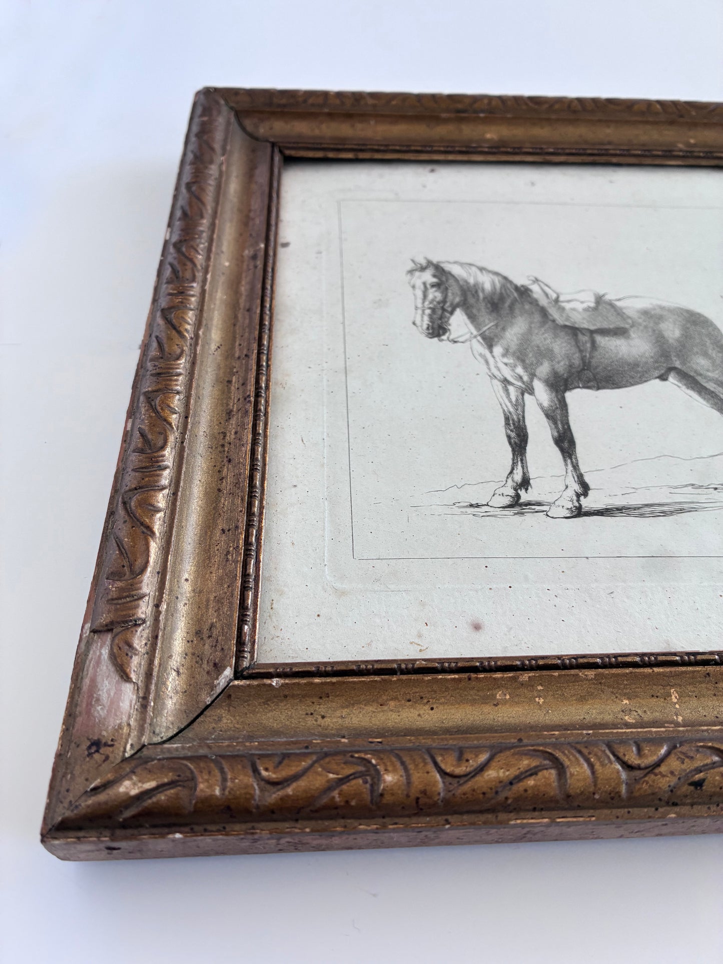 Pair of Antique Orginal Horse Equestrian Etchings in Gilded Frames, circa 1700
