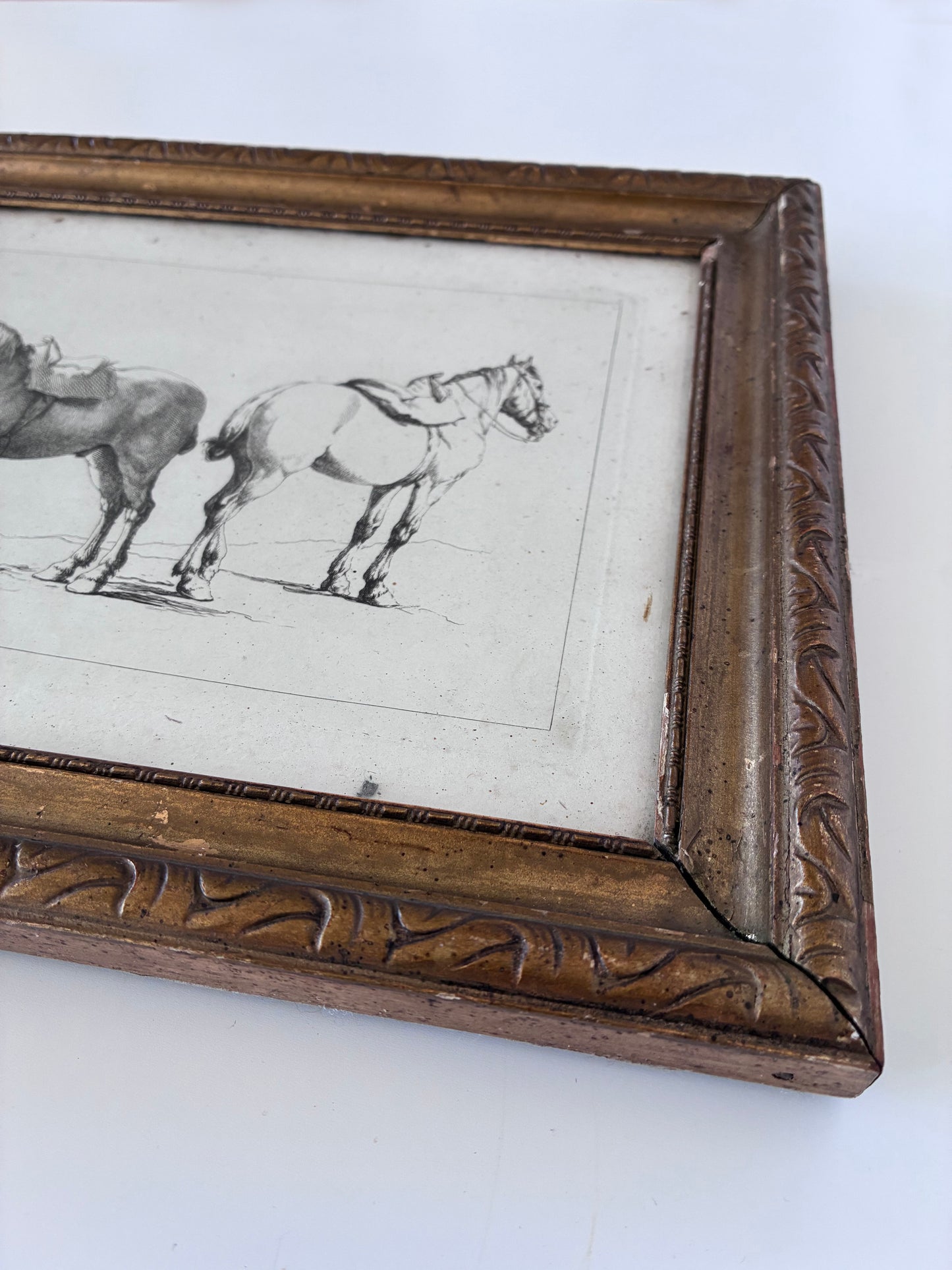 Pair of Antique Orginal Horse Equestrian Etchings in Gilded Frames, circa 1700