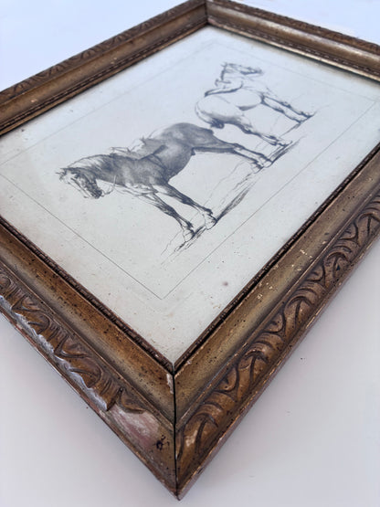 Pair of Antique Orginal Horse Equestrian Etchings in Gilded Frames, circa 1700