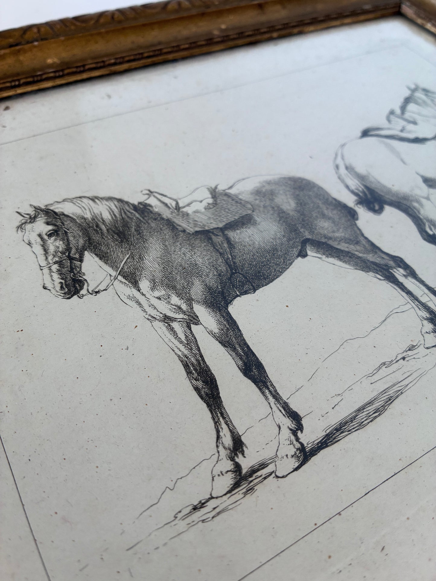 Pair of Antique Orginal Horse Equestrian Etchings in Gilded Frames, circa 1700