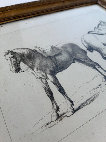 Pair of Antique Orginal Horse Equestrian Etchings in Gilded Frames, circa 1700