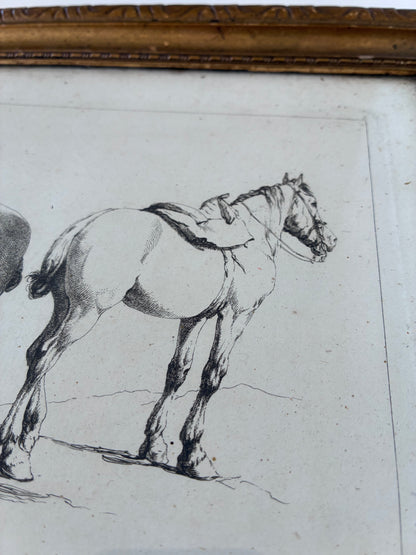 Pair of Antique Orginal Horse Equestrian Etchings in Gilded Frames, circa 1700