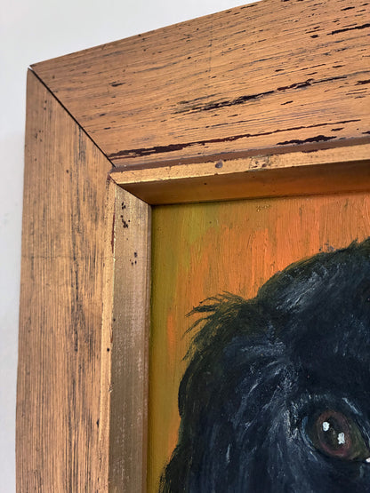 Close-up of a black dog's face in a wooden frame with visible wear.