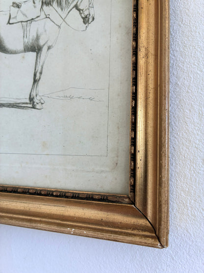 Pair of Antique Original Horse Etchings, circa 1700, Framed Equestrian Prints
