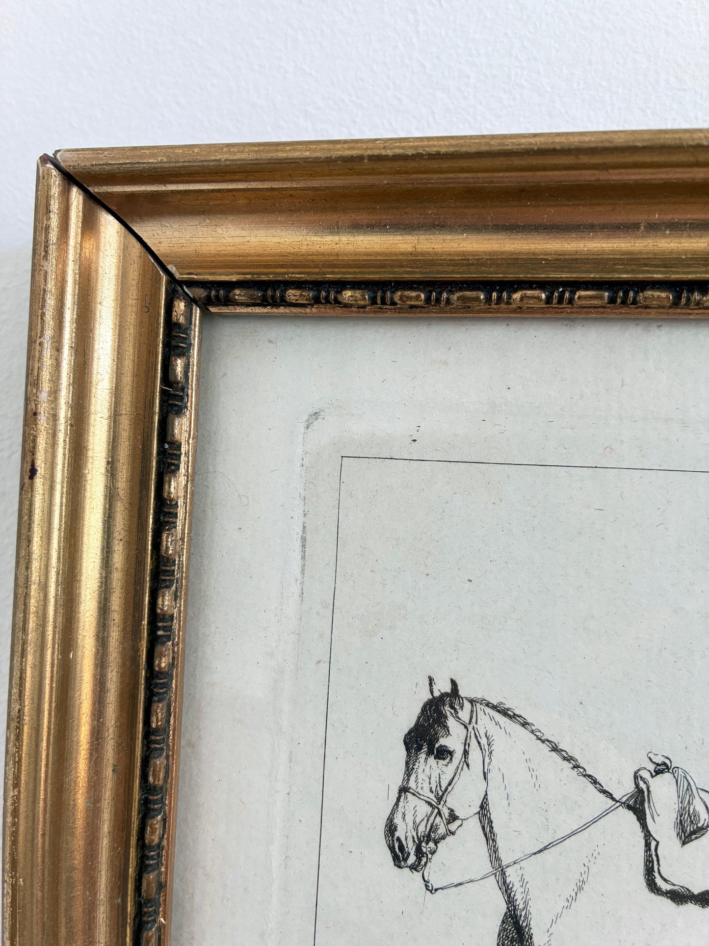 Pair of Antique Original Horse Etchings, circa 1700, Framed Equestrian Prints