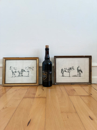 Pair of Antique Original Horse Etchings, circa 1700, Framed Equestrian Prints