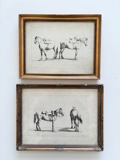 Pair of Antique Original Horse Etchings, circa 1700, Framed Equestrian Prints