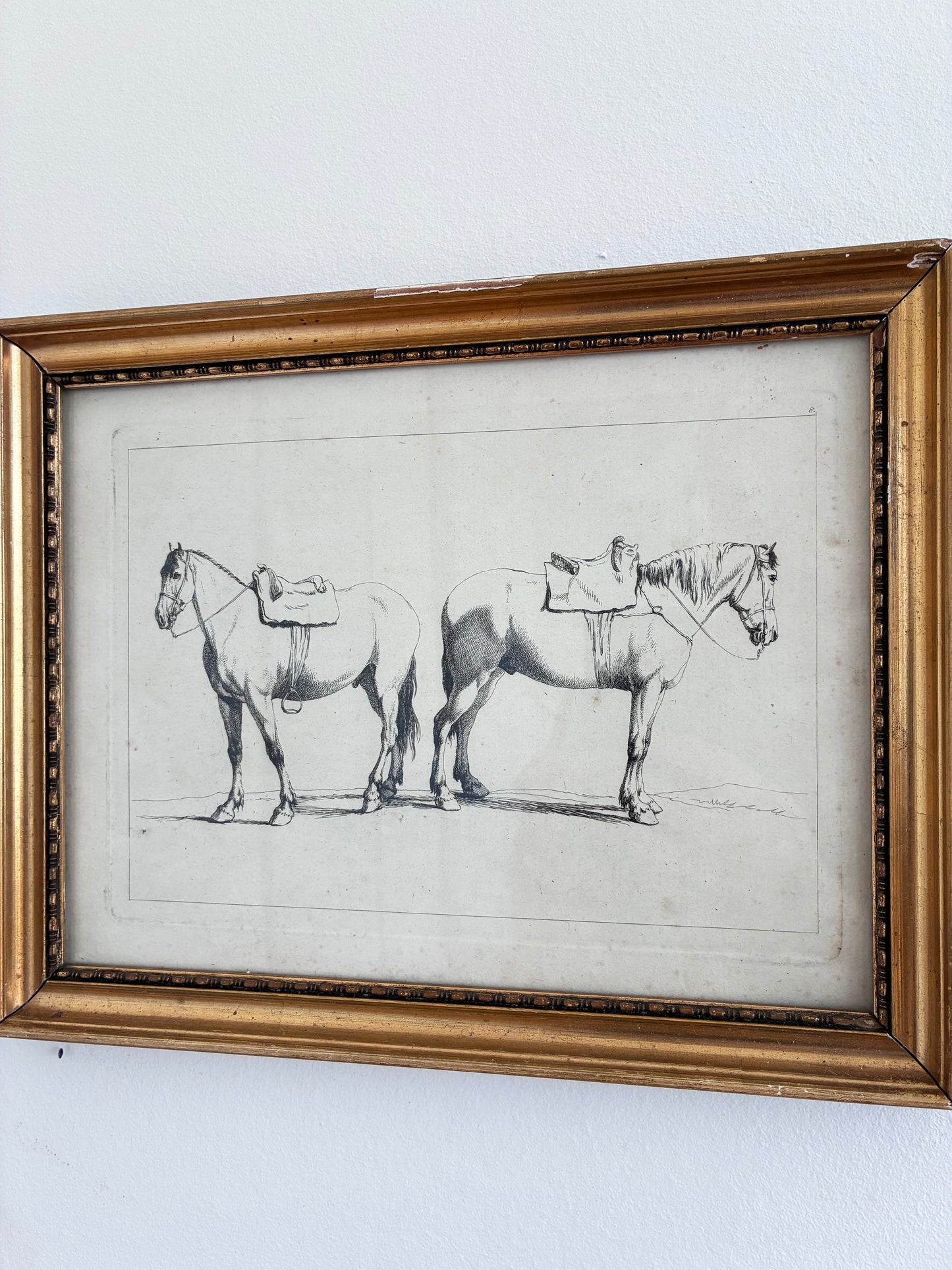Pair of Antique Original Horse Etchings, circa 1700, Framed Equestrian Prints