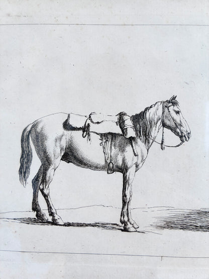 Pair of Antique Original Horse Etchings, circa 1700, Framed Equestrian Prints