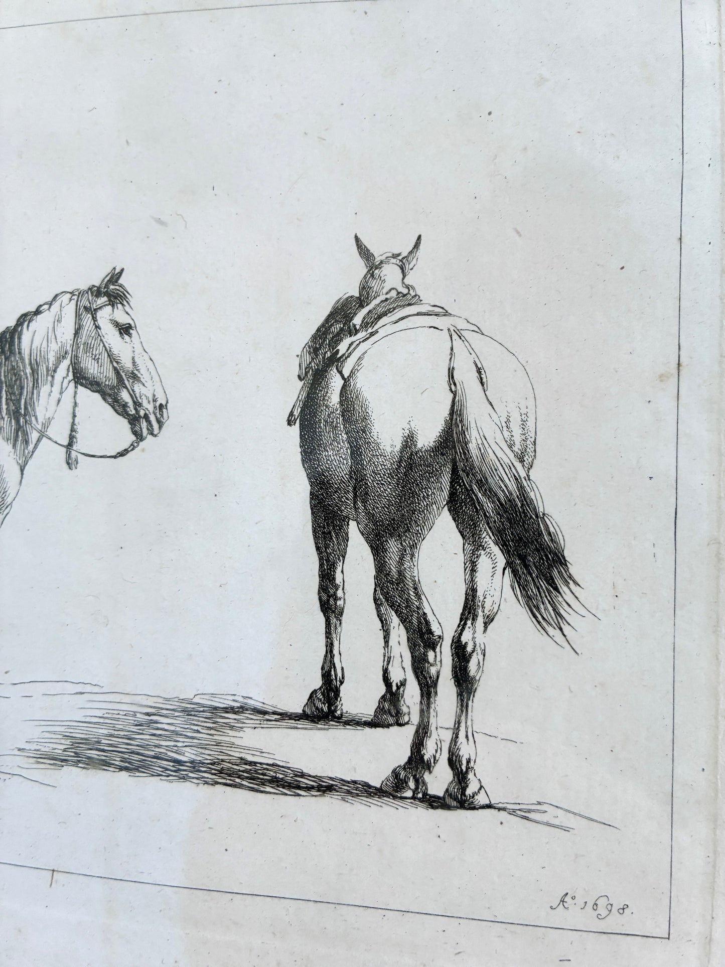 Pair of Antique Original Horse Etchings, circa 1700, Framed Equestrian Prints