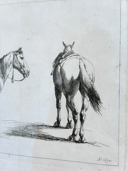 Pair of Antique Original Horse Etchings, circa 1700, Framed Equestrian Prints