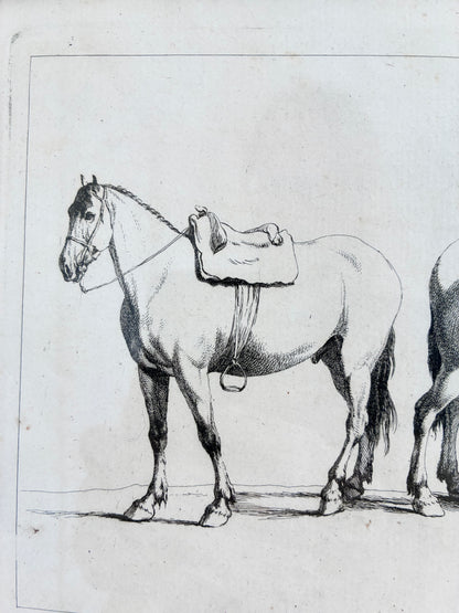Pair of Antique Original Horse Etchings, circa 1700, Framed Equestrian Prints