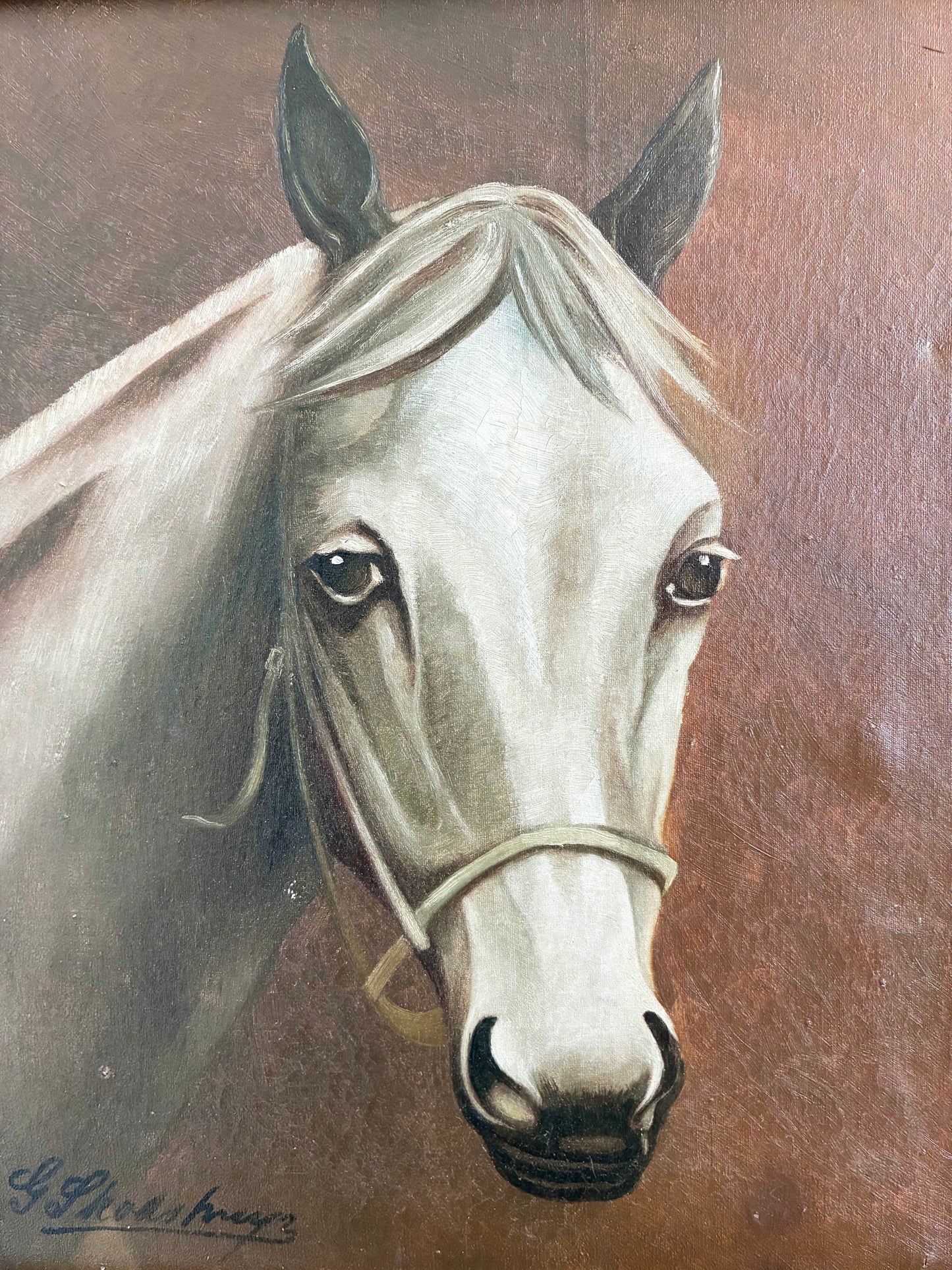 Vintage Original White Horse Oil Painting, Signed Equestrian Portrait