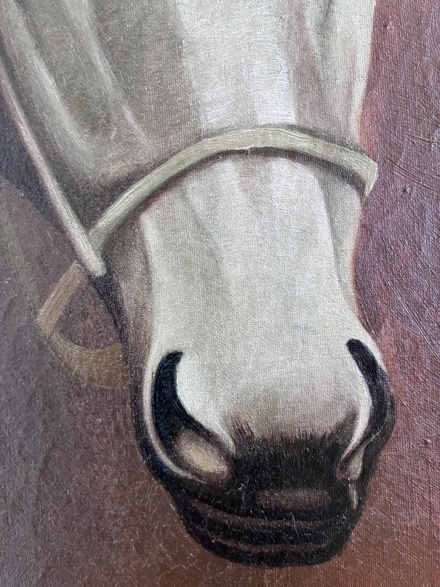 Vintage Original White Horse Oil Painting, Signed Equestrian Portrait