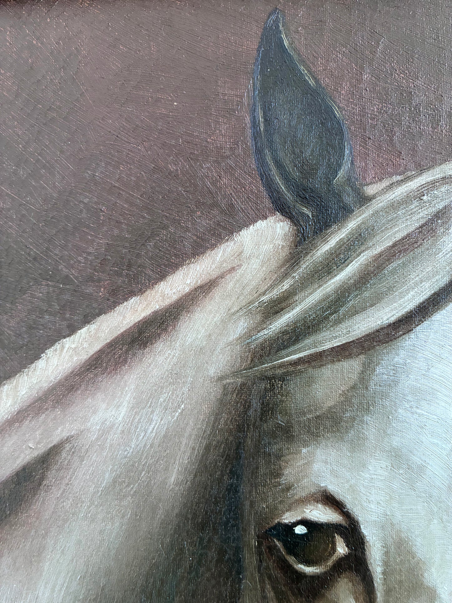 Vintage Original White Horse Oil Painting, Signed Equestrian Portrait
