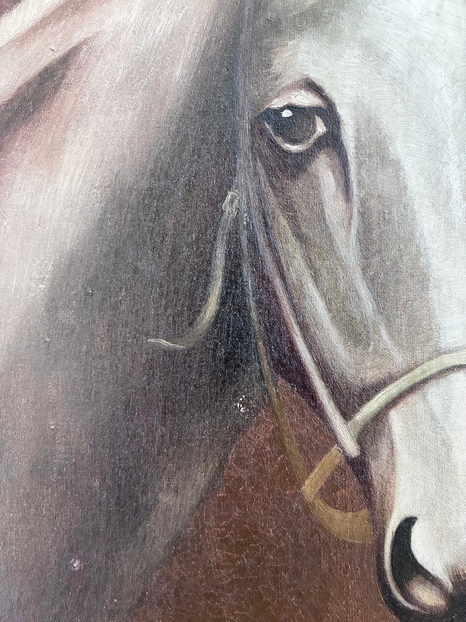 Vintage Original White Horse Oil Painting, Signed Equestrian Portrait