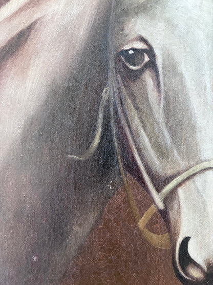 Vintage Original White Horse Oil Painting, Signed Equestrian Portrait