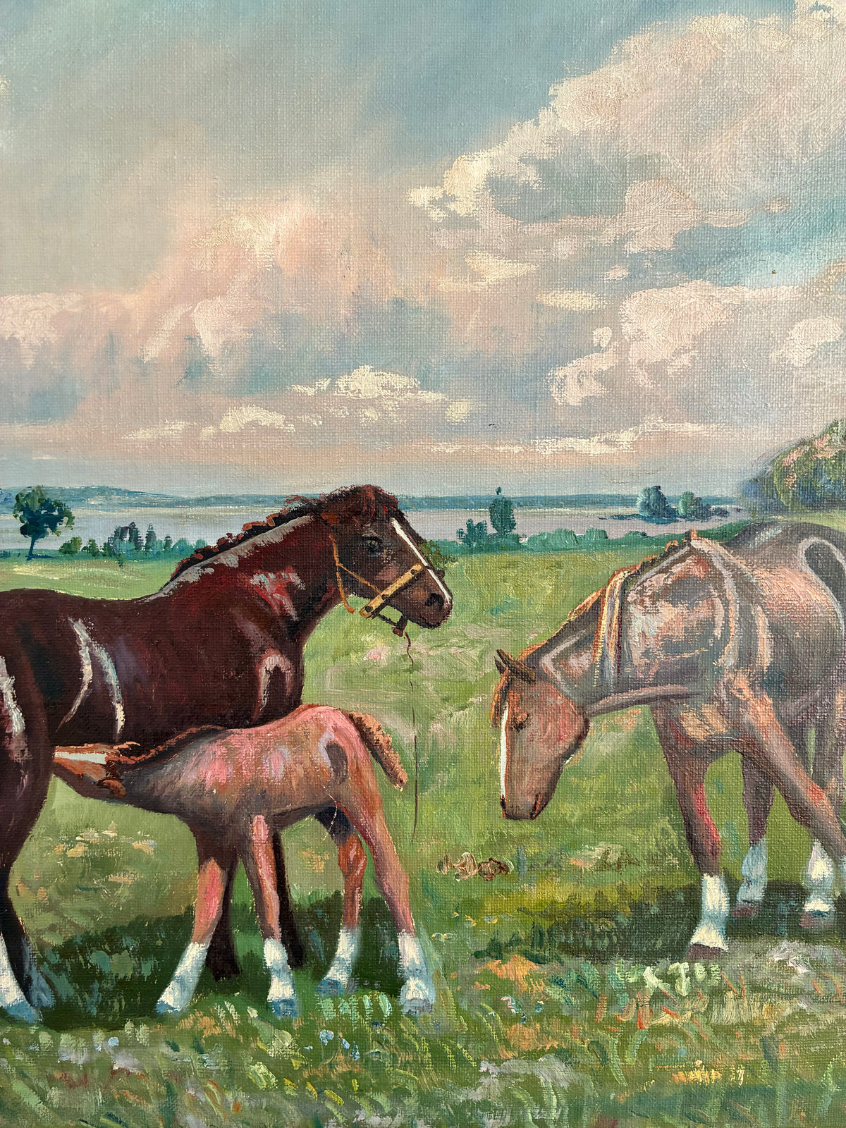 Vintage Signed Horse Landscape Oil Painting