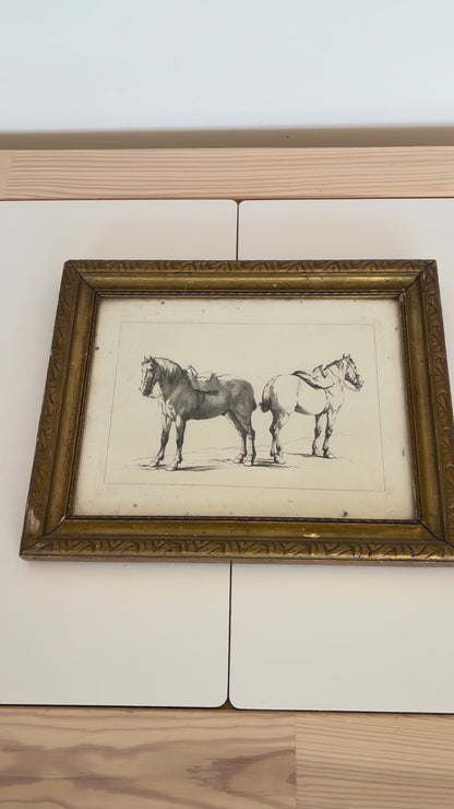 Pair of Antique Orginal Horse Equestrian Etchings in Gilded Frames, circa 1700