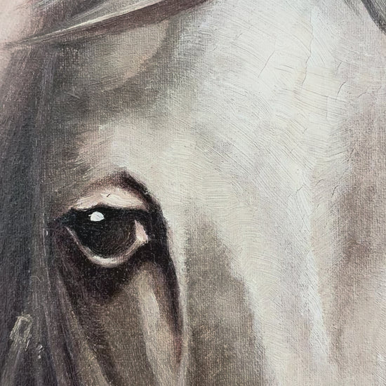 Vintage Original White Horse Oil Painting, Signed Equestrian Portrait
