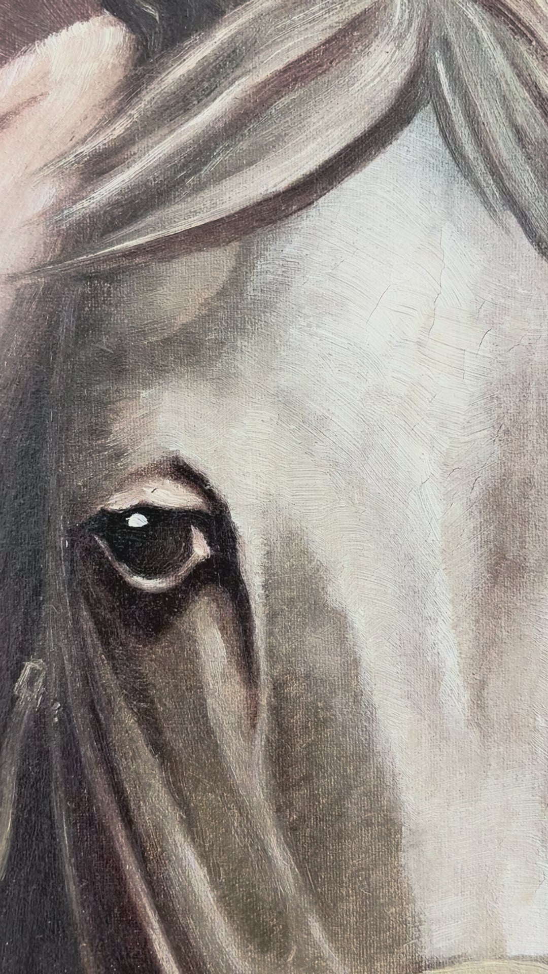 Vintage Original White Horse Oil Painting, Signed Equestrian Portrait