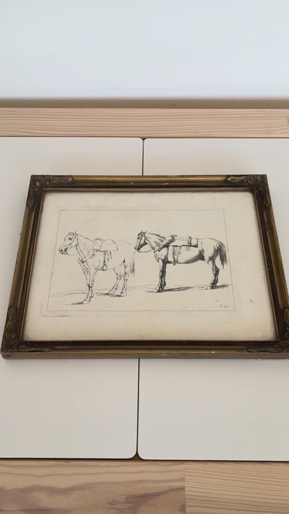 Pair of Antique Orginal Horse Equestrian Etchings in Gilded Frames, circa 1700