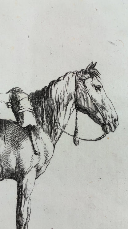 Pair of Antique Original Horse Etchings, circa 1700, Framed Equestrian Prints
